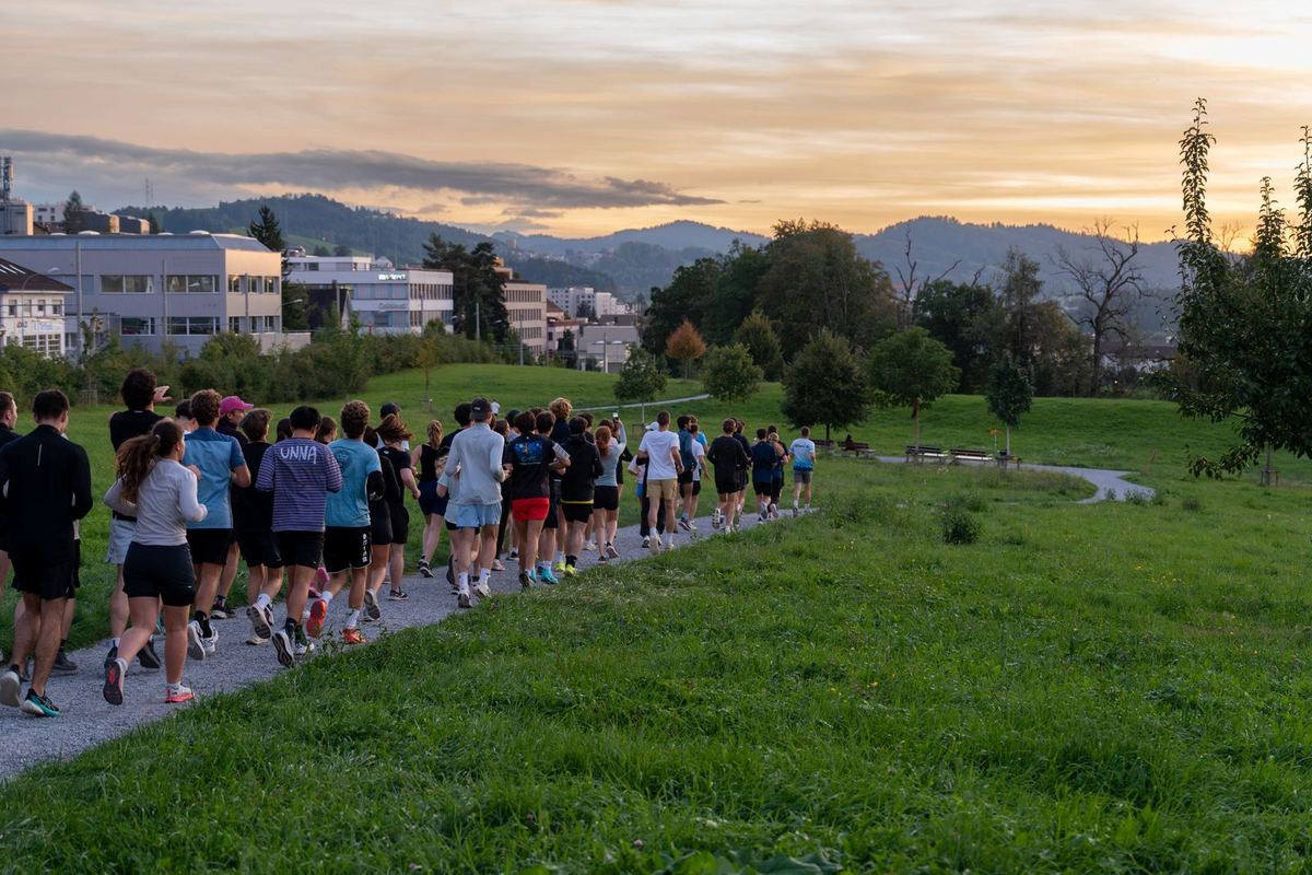 A long line of runners on a meadow path at sunset